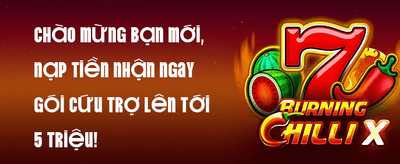 Siêu Ưu Đãi 016 promotion